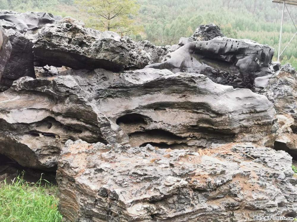 风景石、假山石大量有货,有需要的欢迎联系 - 新手上路 - 无锡生活社区 - 无锡28生活网 wx.28life.com