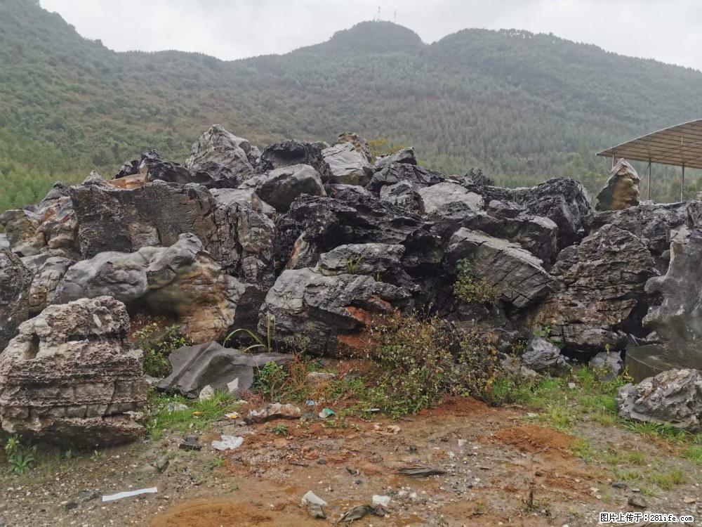 风景石、假山石大量有货,有需要的欢迎联系 - 新手上路 - 无锡生活社区 - 无锡28生活网 wx.28life.com