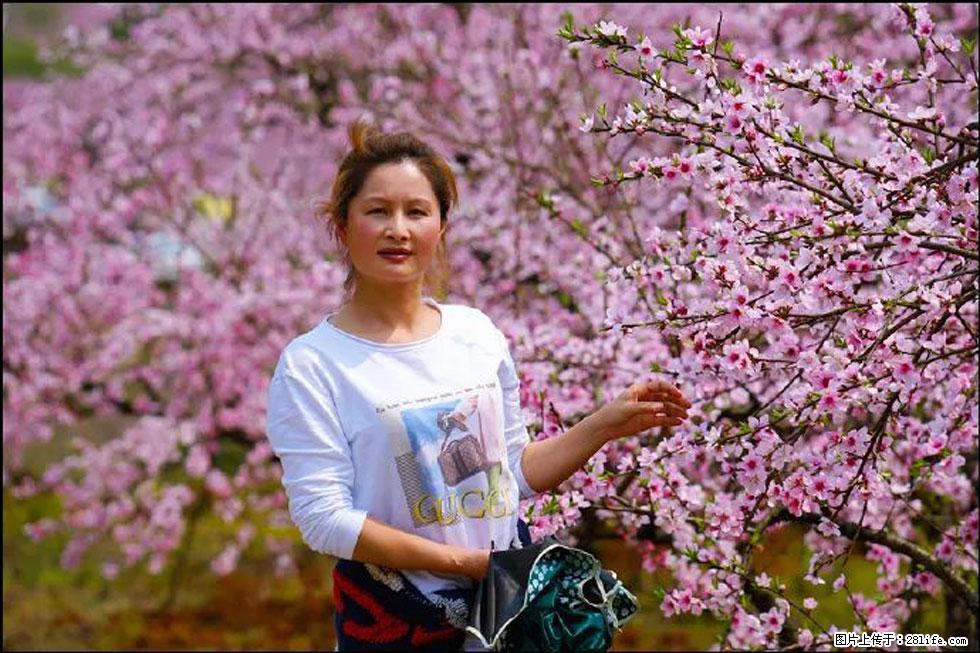 【春天，广西桂林灌阳县向您发出邀请！】官庄村有个醉美的桃花园 - 游山玩水 - 无锡生活社区 - 无锡28生活网 wx.28life.com