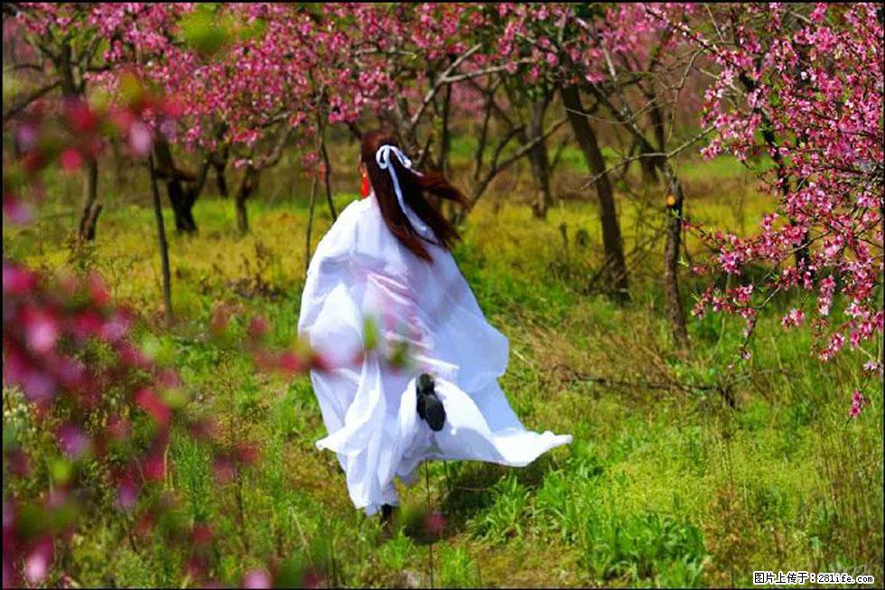 【春天，广西桂林灌阳县向您发出邀请！】官庄村有个醉美的桃花园 - 游山玩水 - 无锡生活社区 - 无锡28生活网 wx.28life.com