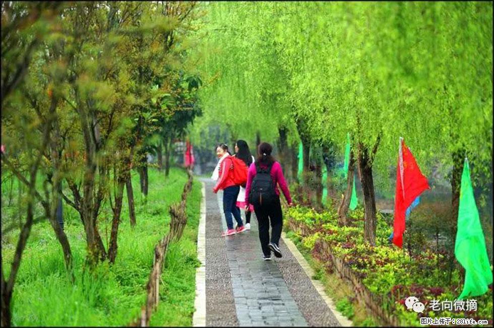 【春天,广西桂林灌阳县向您发出邀请!】江口老街又逢春 - 游山玩水 - 无锡生活社区 - 无锡28生活网 wx.28life.com