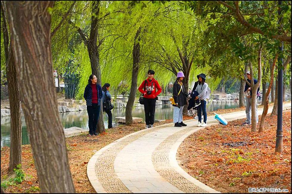 【春天,广西桂林灌阳县向您发出邀请!】江口老街又逢春 - 游山玩水 - 无锡生活社区 - 无锡28生活网 wx.28life.com
