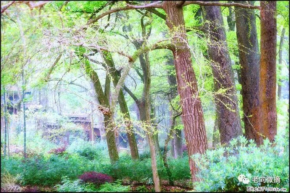 【春天,广西桂林灌阳县向您发出邀请!】在小龙村与春天约会 - 游山玩水 - 无锡生活社区 - 无锡28生活网 wx.28life.com