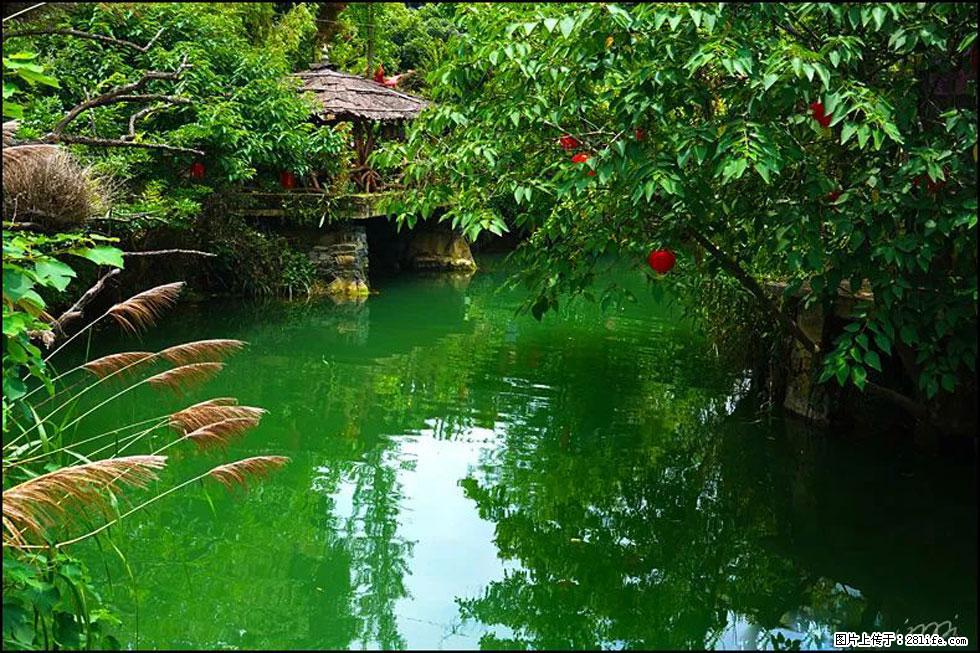 【春天,广西桂林灌阳县向您发出邀请!】如梦似幻莲溪庐 - 游山玩水 - 无锡生活社区 - 无锡28生活网 wx.28life.com