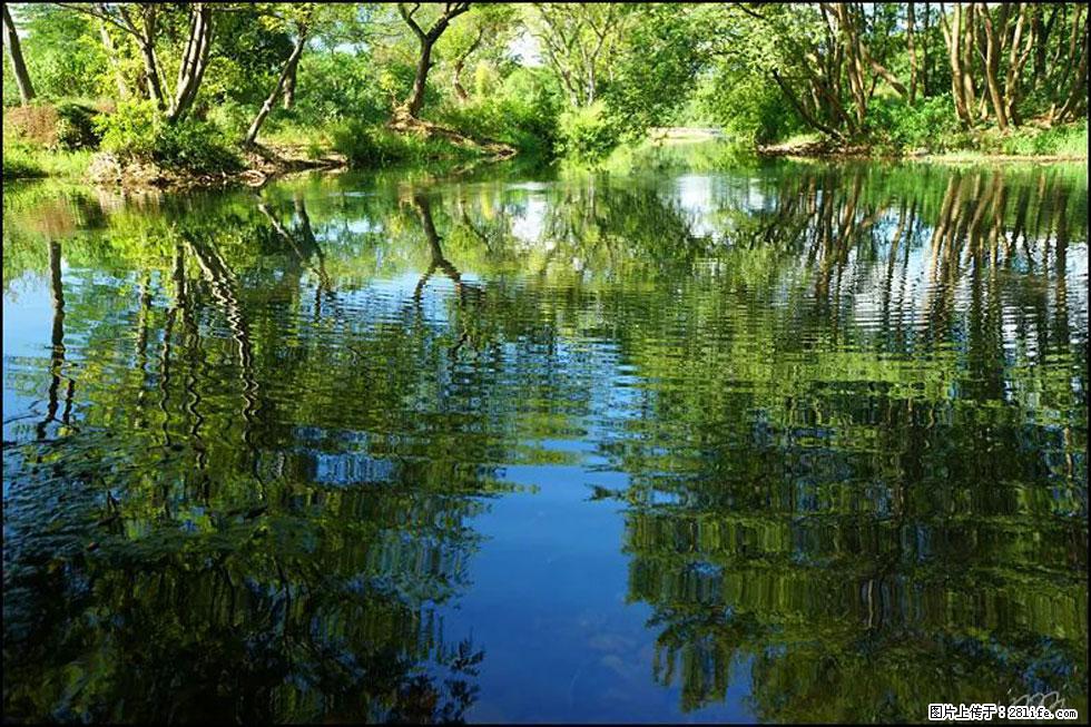 【春天,广西桂林灌阳县向您发出邀请!】熊家寨湿地公园 - 游山玩水 - 无锡生活社区 - 无锡28生活网 wx.28life.com