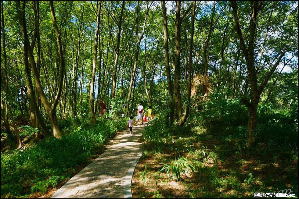 【春天,广西桂林灌阳县向您发出邀请!】熊家寨湿地公园 - 游山玩水 - 无锡生活社区 - 无锡28生活网 wx.28life.com