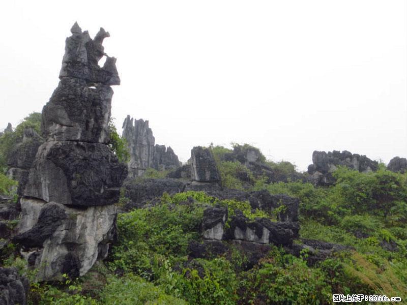 桂林旅游名城景点：灌阳文市石林 - 游山玩水 - 无锡生活社区 - 无锡28生活网 wx.28life.com