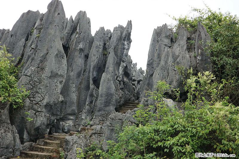 桂林旅游名城景点：灌阳文市石林 - 游山玩水 - 无锡生活社区 - 无锡28生活网 wx.28life.com