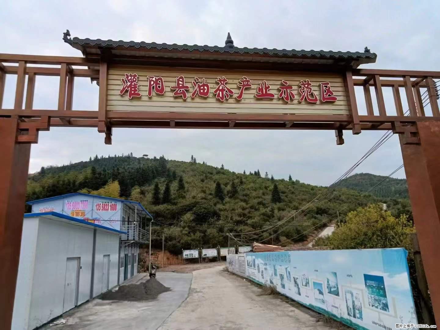 【灌阳县油茶产业示范区】一个有着充实的精神生活的人,对待身外之物自会有一种淡泊的态度 - 美食天地 - 无锡生活社区 - 无锡28生活网 wx.28life.com
