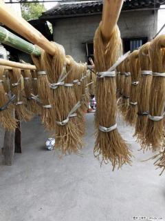 【灌阳正宗红薯粉】美女家里自己做的,干净卫生,假一赔十,价格合理,抢购电话:13737312895 - 无锡28生活网 wx.28life.com