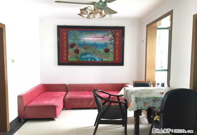 周新苑二期 精装修 大两房 南北通 采光好 拎包入住随时看 - 房屋出租 - 房屋租售 - 无锡分类信息 - 无锡28生活网 wx.28life.com