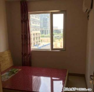 真实房精装两房随时看房看中价格可谈 - 无锡28生活网 wx.28life.com