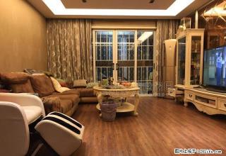 万科信成道 精装修两房 拎包入住 临近 万象城海岸城火速来电 - 无锡28生活网 wx.28life.com