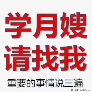 【招聘】月嫂，上海徐汇区 - 无锡28生活网 wx.28life.com