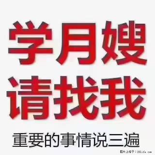 【招聘】月嫂,上海徐汇区 - 无锡28生活网 wx.28life.com