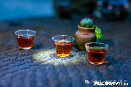 时间果百年古树2025年春红茶 - 购物交流 - 无锡生活社区 - 无锡28生活网 wx.28life.com