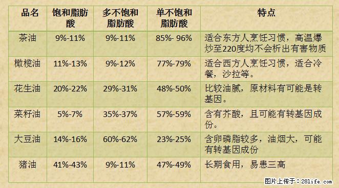 揭秘茶油的5大核心营养成分!被称为人体健康的“守护盾”! - 无锡生活资讯 - 无锡28生活网 wx.28life.com