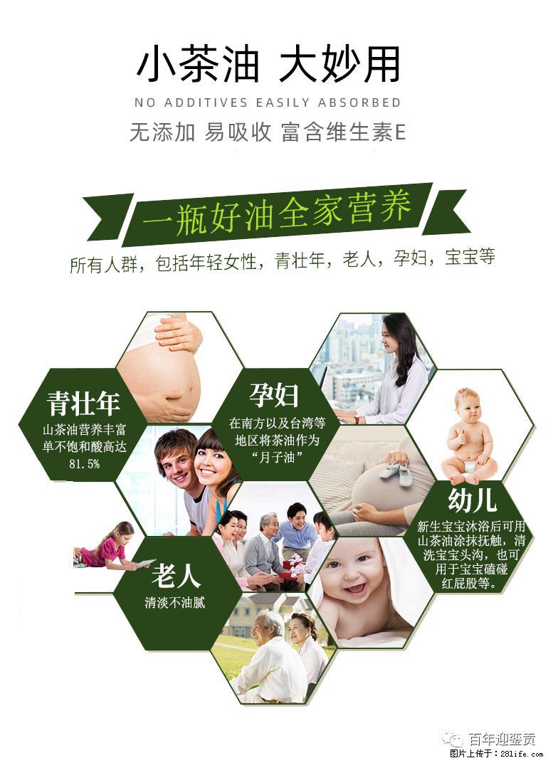世界没有真相,只有认知,最好的食用油是中国的山茶油! - 无锡生活资讯 - 无锡28生活网 wx.28life.com