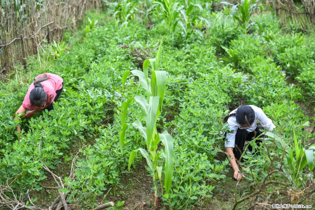 全网追的“扁担女孩”,找了一份暑假工,时薪12元 - 无锡生活资讯 - 无锡28生活网 wx.28life.com