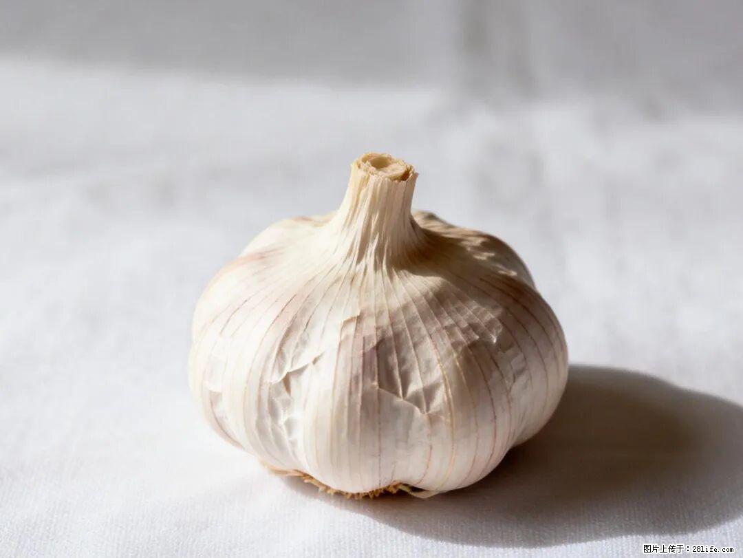 关于大蒜，除了“天然抗生素”，这4个谣言更该警惕! - 无锡生活资讯 - 无锡28生活网 wx.28life.com
