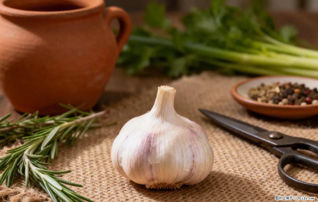 关于大蒜，除了“天然抗生素”，这4个谣言更该警惕! - 无锡生活资讯 - 无锡28生活网 wx.28life.com