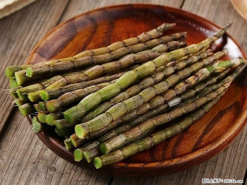 铁皮石斛的作用与功能主治 - 无锡生活资讯 - 无锡28生活网 wx.28life.com